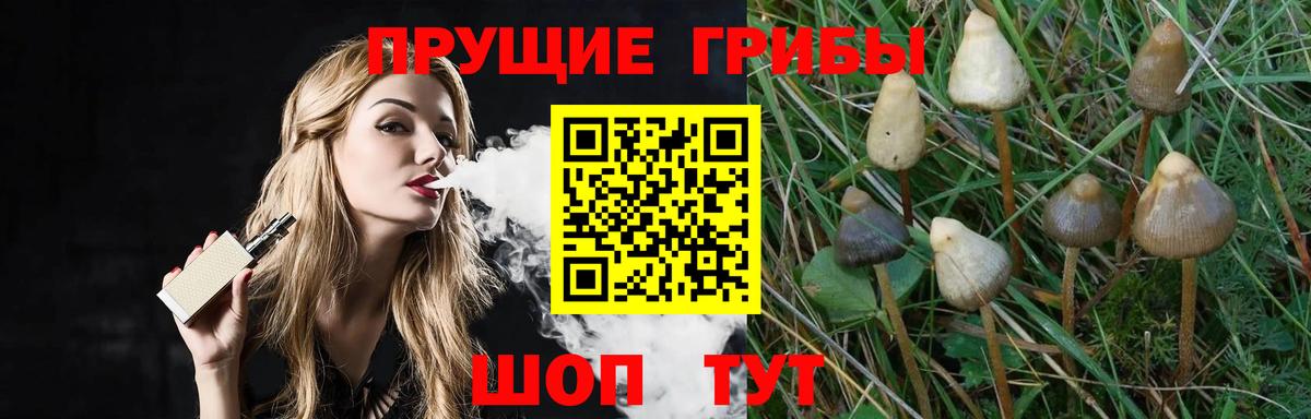 Псилоцибиновые грибы GOLDEN TEACHER  Вход с VPN  Галлюциногенные грибы прущие грибы  Кимовск 